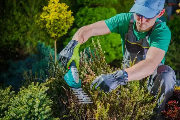 landscaping services Beemer